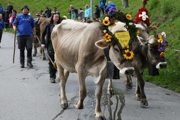 Alpabzug