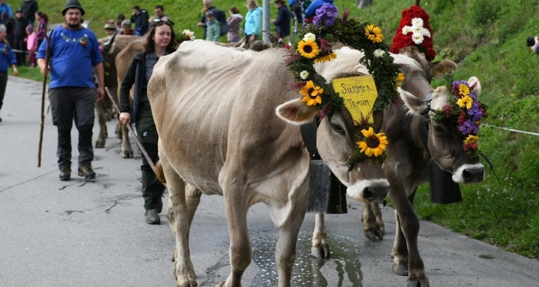 Alpabzug