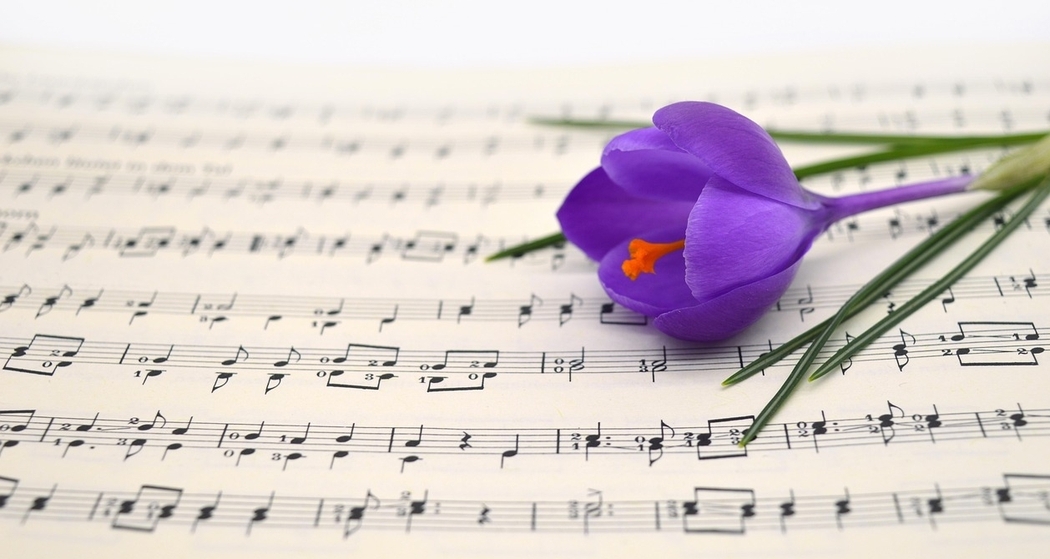 Konzert Frühling (pixabay)