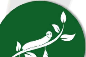 Logo Kiki 1