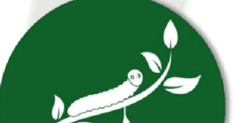 Logo Kiki 1