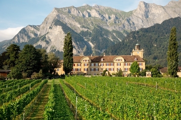 Schloss Salenegg