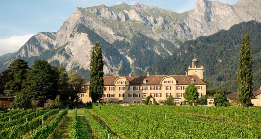 Schloss Salenegg