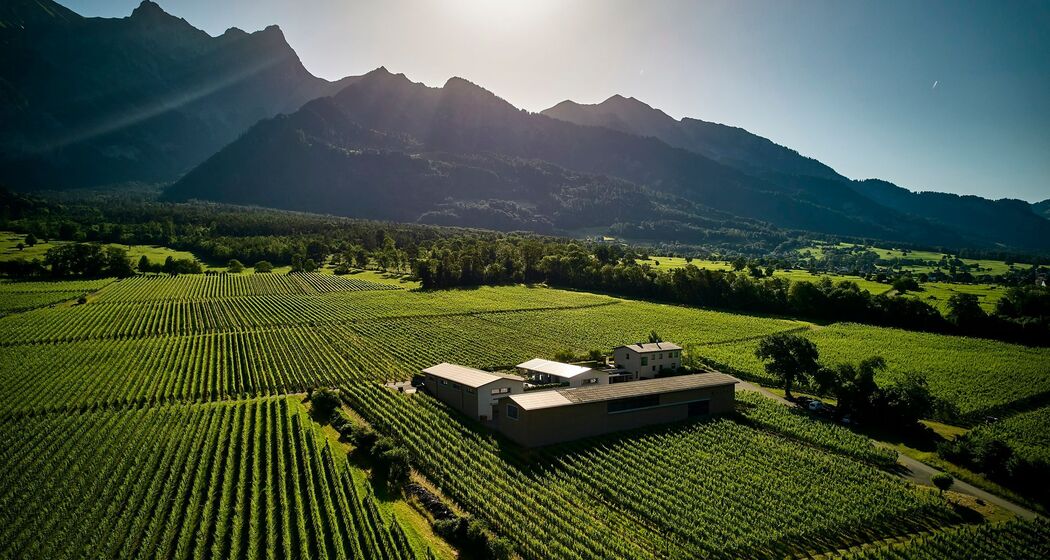 Davaz Winery © Weingut Davaz