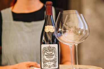 Wine tour © Heidiland Tourismus / Jana Figliuolo