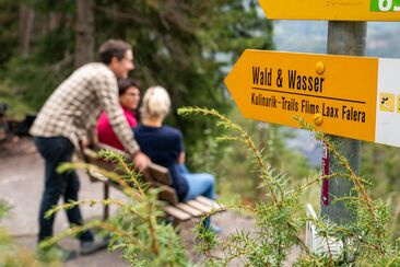 Wald und Wasser © WAG