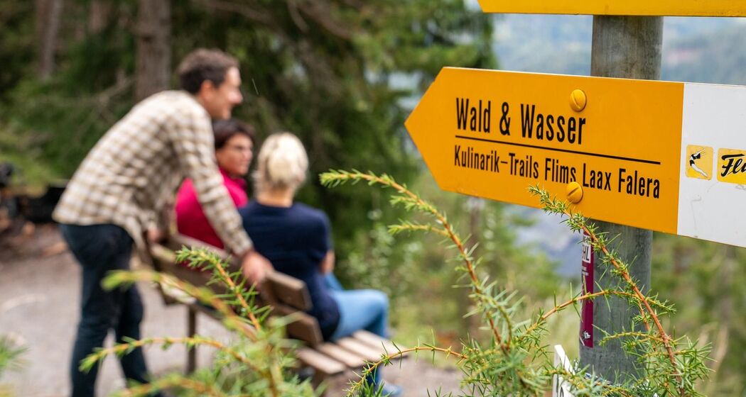 Wald und Wasser © WAG
