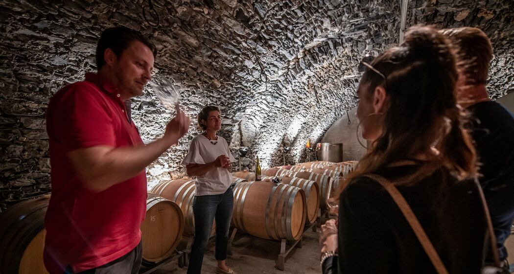 Visit to a wine cellar © Wine Tours Switzerland