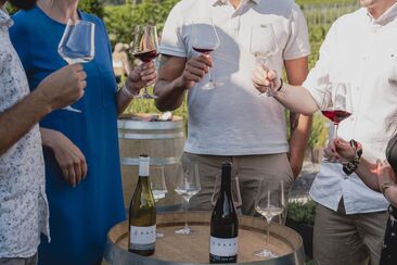 Wine tasting © Weingut Davaz