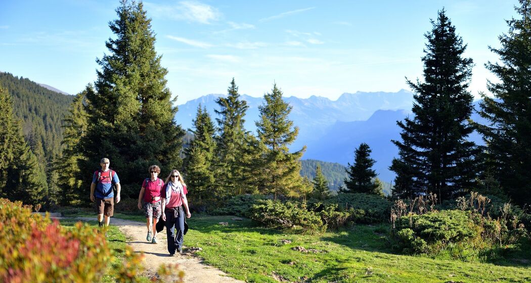 Wanderwege Brambrüesch - Pradaschier © Claudio Godenzi