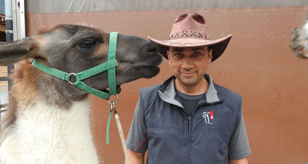 The llamas of Isidor Sepp © Jürg Wirth