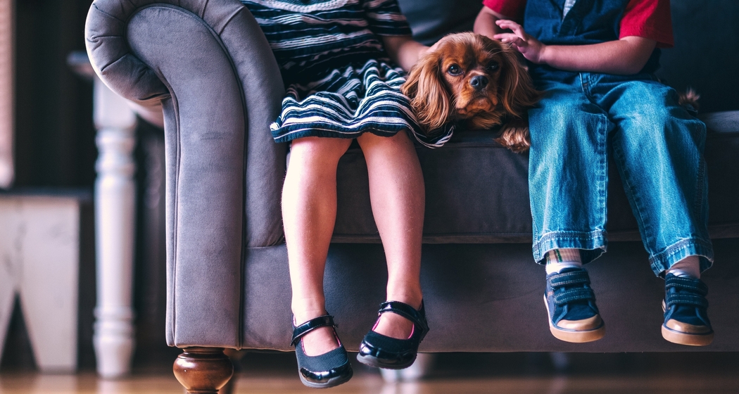 Regionalbebliothek Kidslesung (Pixabay)