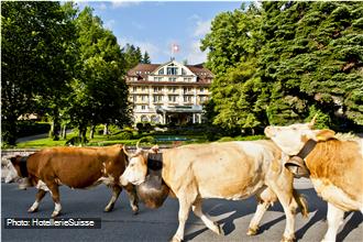 Le Grand Bellevue en