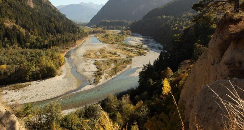 Rheinauen bei Rhäzüns