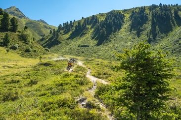 b07a8c63-51c6-4bdf-9f2a-0758264f827a