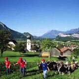 Stiefelgeissen ob Vilters