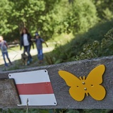 Schmetterlingsweg Tschiertschen