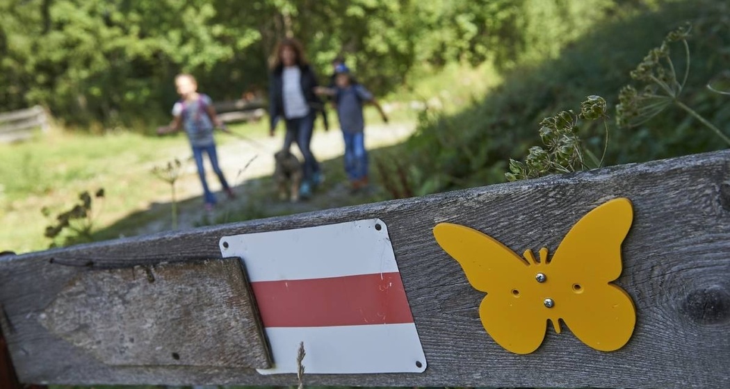 Schmetterlingsweg Tschiertschen