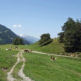 Mittenberg - beliebtes Churer Ausflugsziel