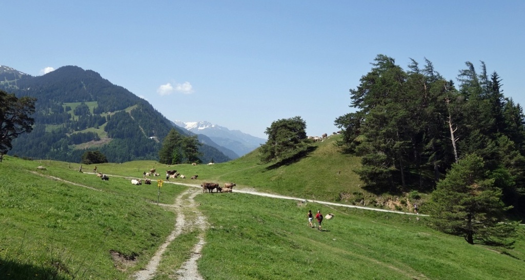 Mittenberg - beliebtes Churer Ausflugsziel