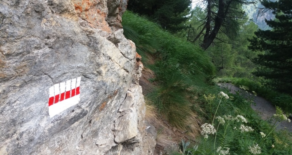 Gli alberi e il gioco di luci e ombre - Die Bäume und das Schattenspiel