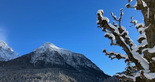 img_y2n-w7v_badije_y2w