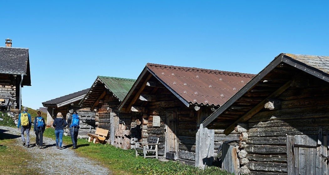Tschiertschen - Farur - Gürgaletsch (07)