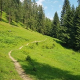 Wiesen-Trail unterhalb von Brambrüesch