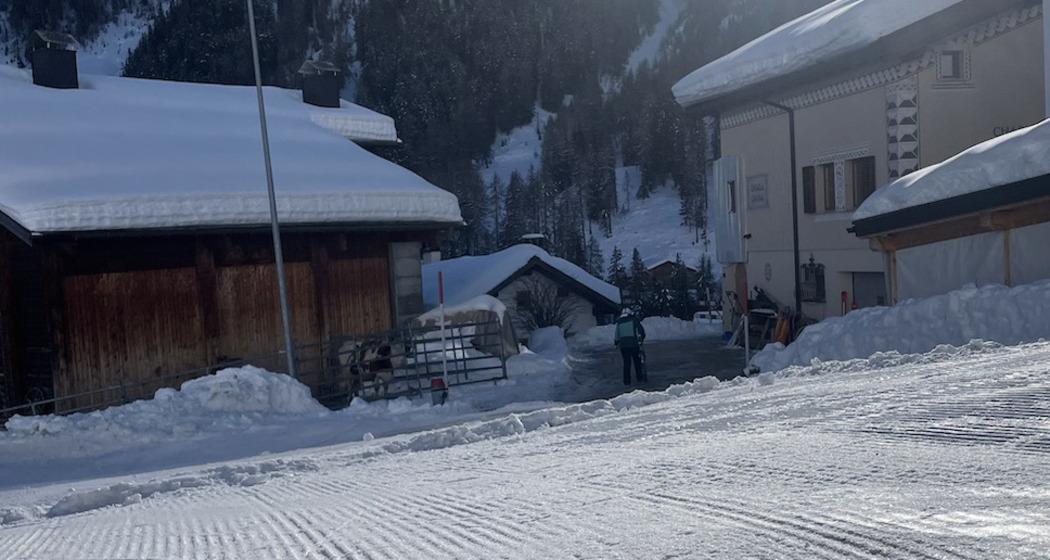 Zufahrt mit Ski
