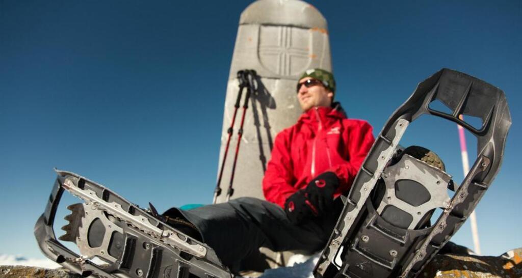 Beim Dreibündenstein