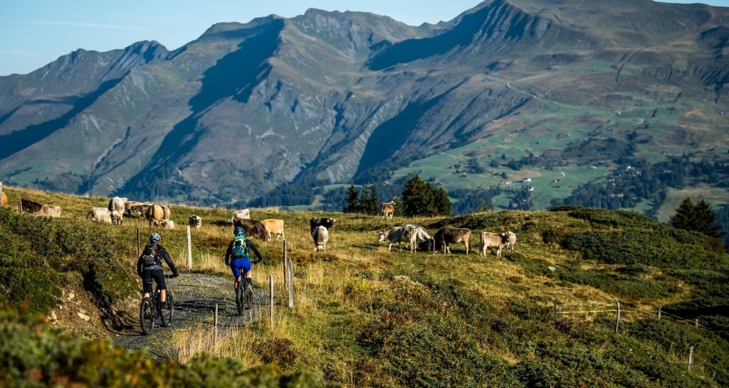 Ochsenalp - Tschiertschen Trail