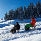 Schlittelweg Tschiertschen