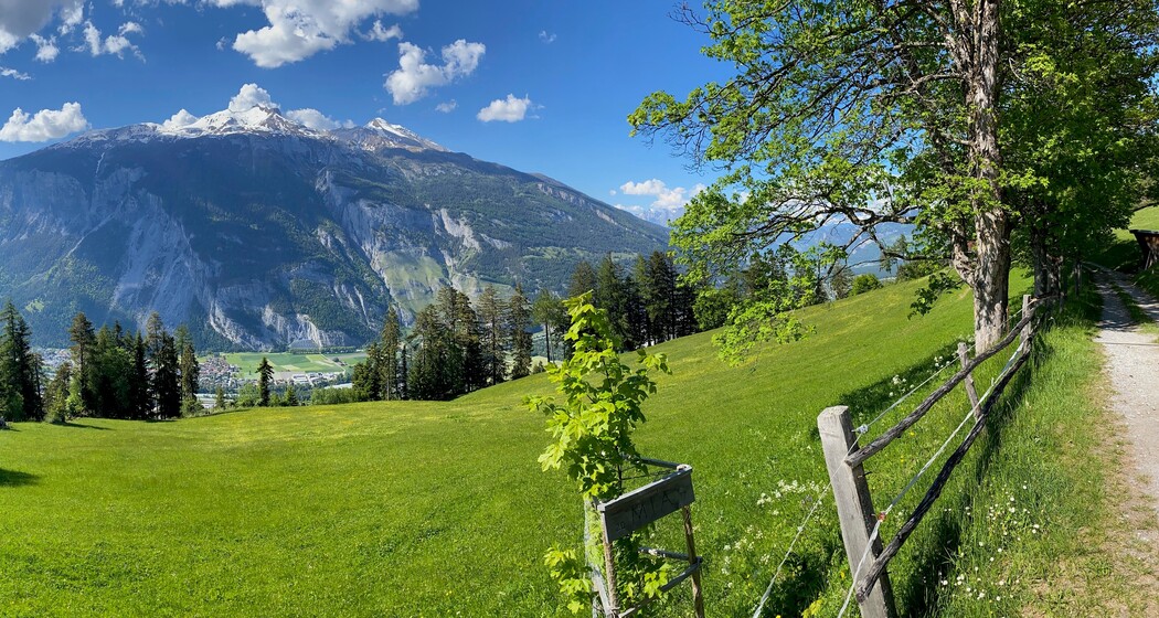 Aussicht Schönegg 2021