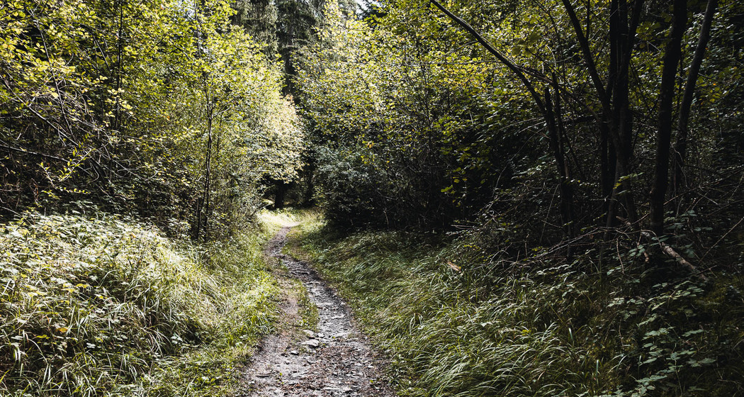 Trimmiser Rüfe Trail