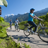 Unterwegs in der Weinregion Bündner Herrschaft