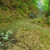 Trail-Einstieg Nasstobel Trail