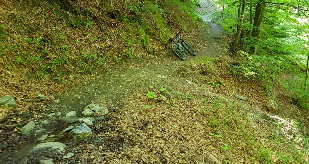 Trail-Einstieg Nasstobel Trail