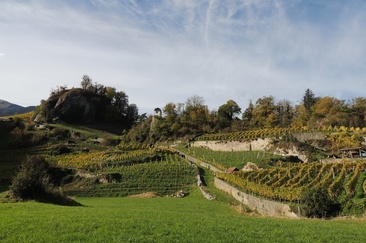 Weingut Portaser