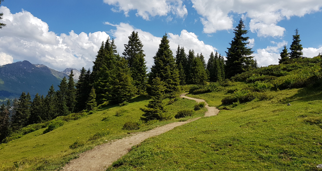 Wanderung Brambrüesch - Pradaschier