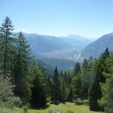 Aussicht aus dem Wald