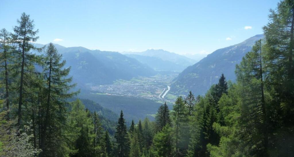 Aussicht aus dem Wald