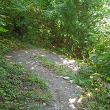 Zig Zag Trail - für Spitzkehren Liebhaber