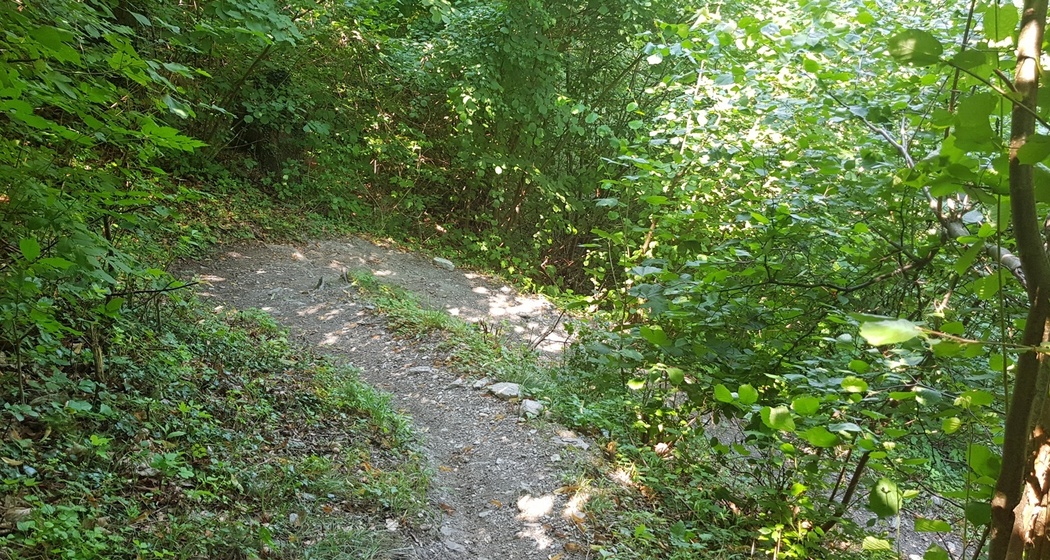 Zig Zag Trail - für Spitzkehren Liebhaber