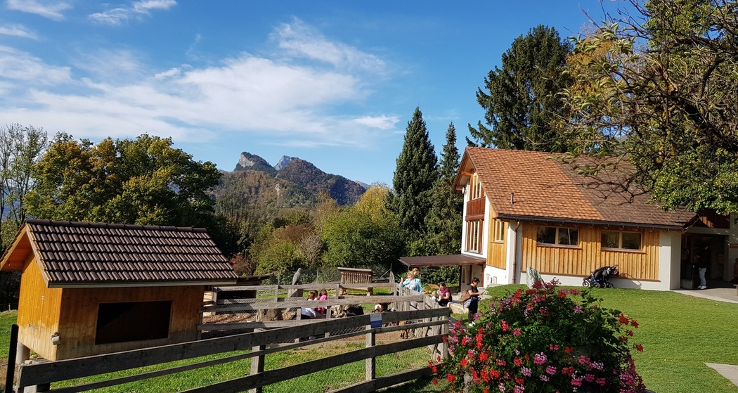 Heididorf, Maienfeld