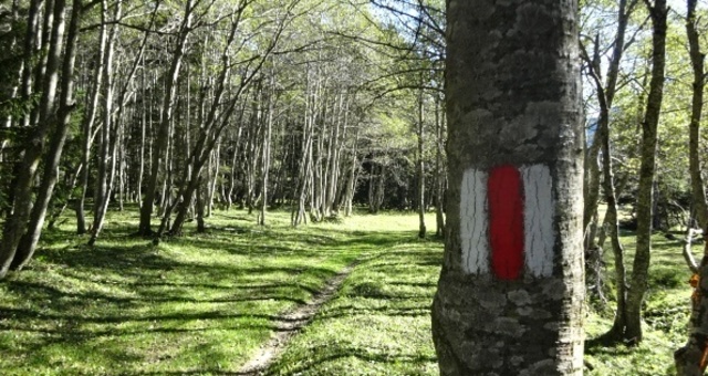 T 11 Via Francisca: Lukmanier - Aquila