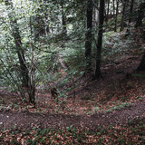 Kaltbrunntobel-Trail