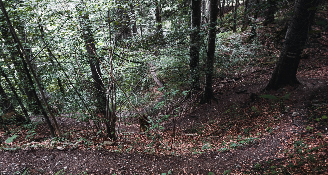 Kaltbrunntobel-Trail