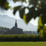 Tumas und Kirchtürme von Domat/Ems