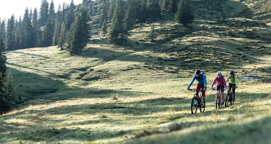 330.01 Panorama Ride