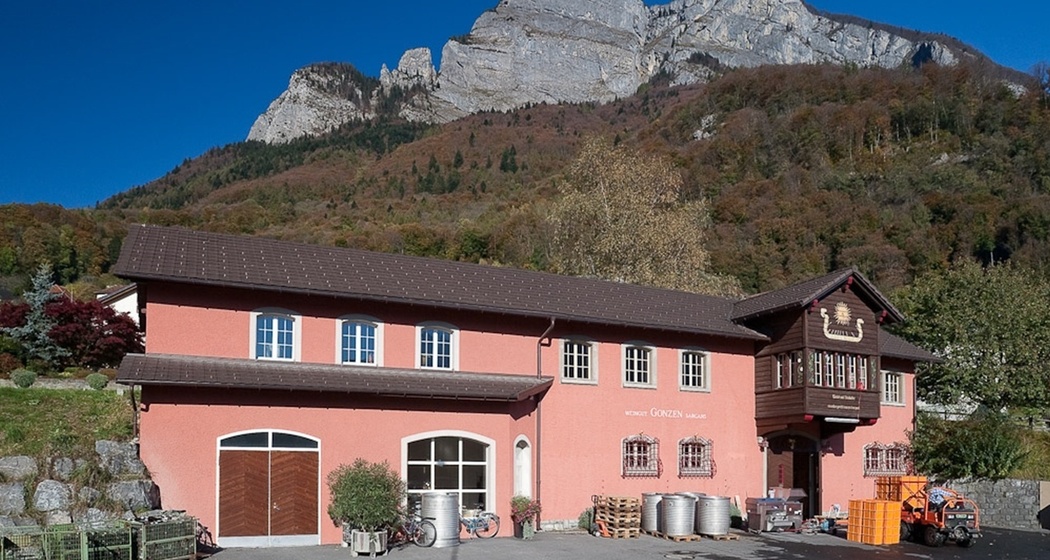 Weingut Gonzen